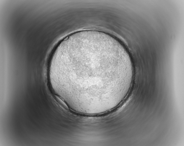 X0000095691506200802051302