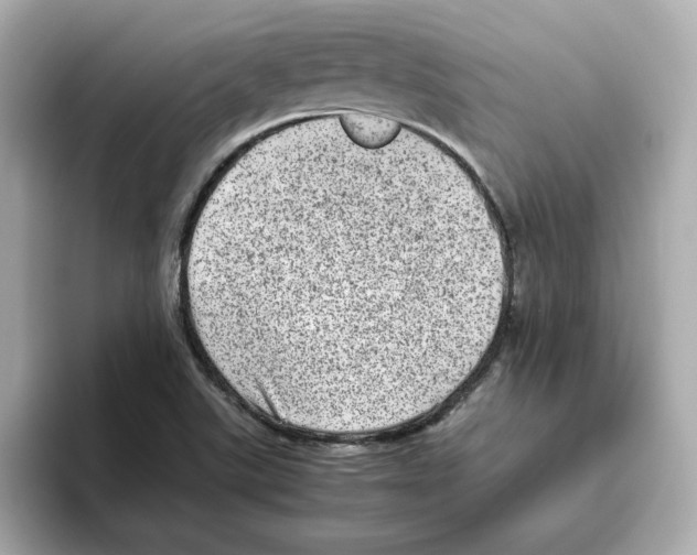 X0000095691507200802051302