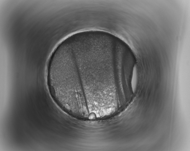 X0000095691508200802051302