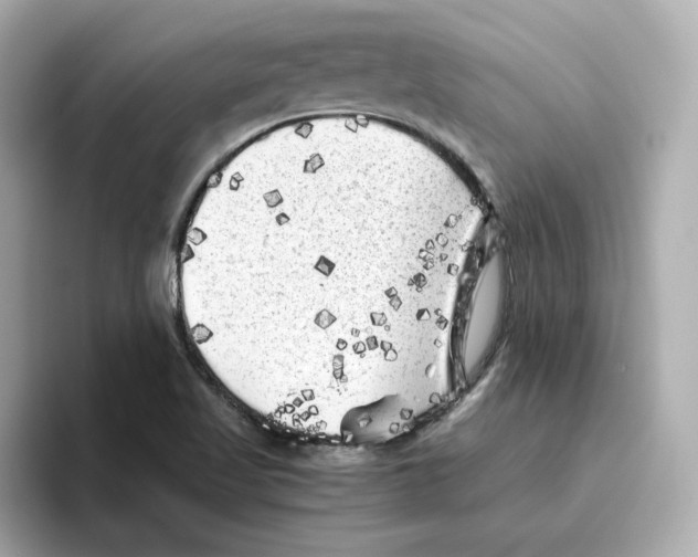 X0000095691509200802051302