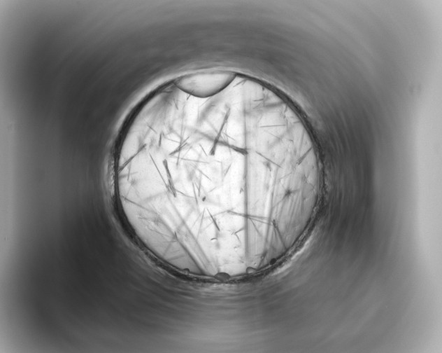 X0000095691510200802051302