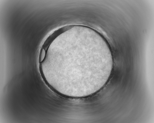 X0000095691512200802051302