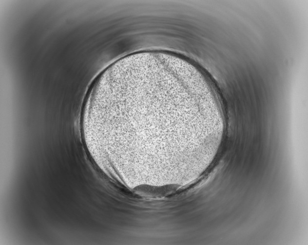 X0000095691513200802051302