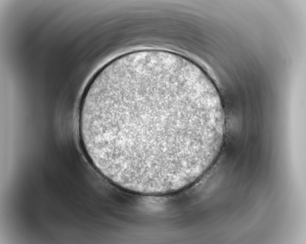 X0000095691514200802051302