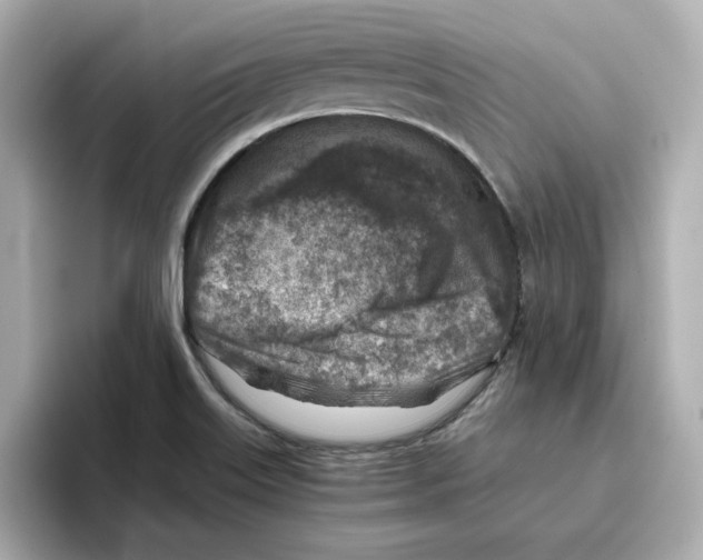 X0000095691515200802051302