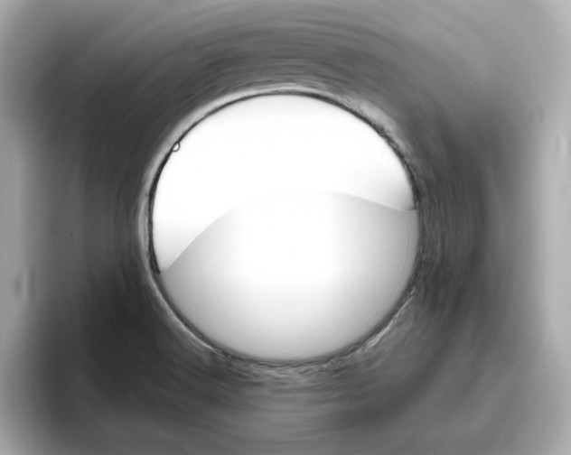 X0000095691516200802051302