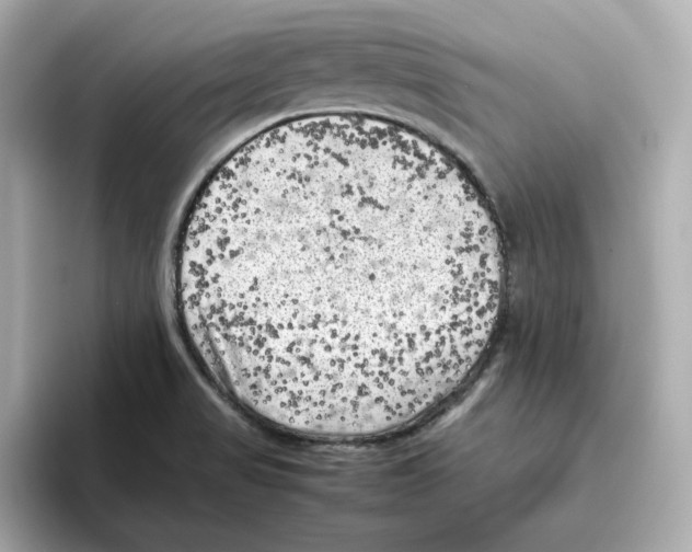 X0000095691517200802051302