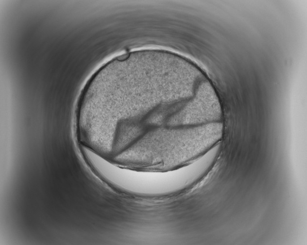 X0000095691518200802051302