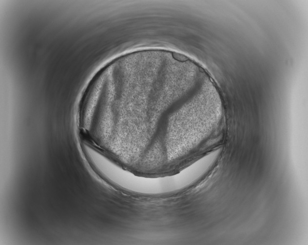 X0000095691519200802051302