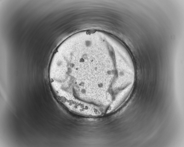 X0000095691521200802051302