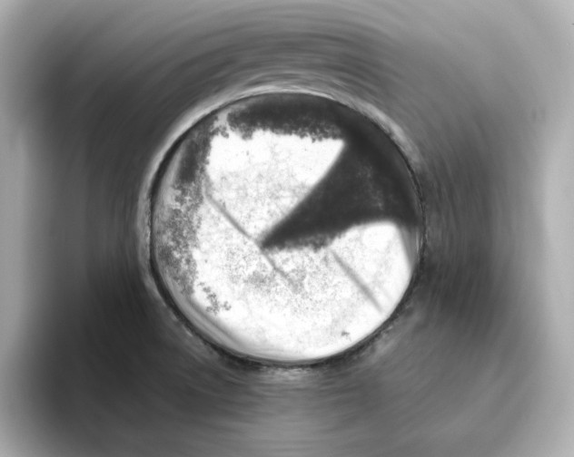 X0000095691522200802051302