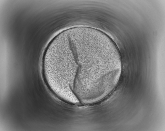 X0000095691523200802051302