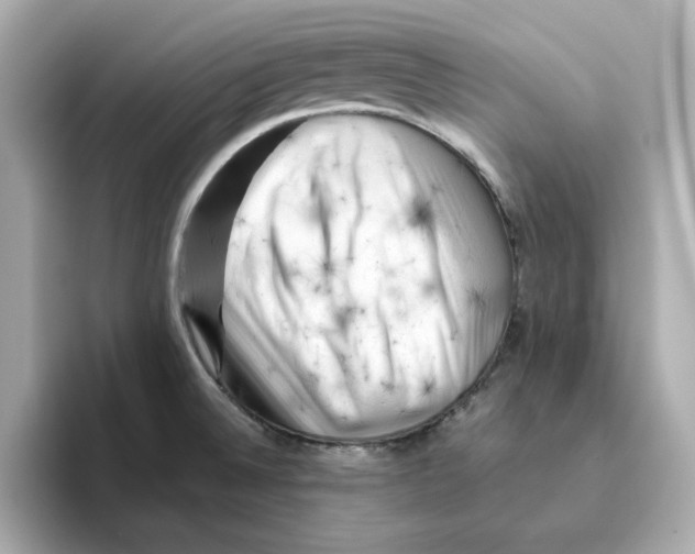 X0000095691524200802051302