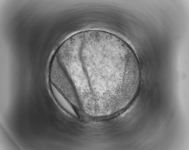 X0000095691525200802051302