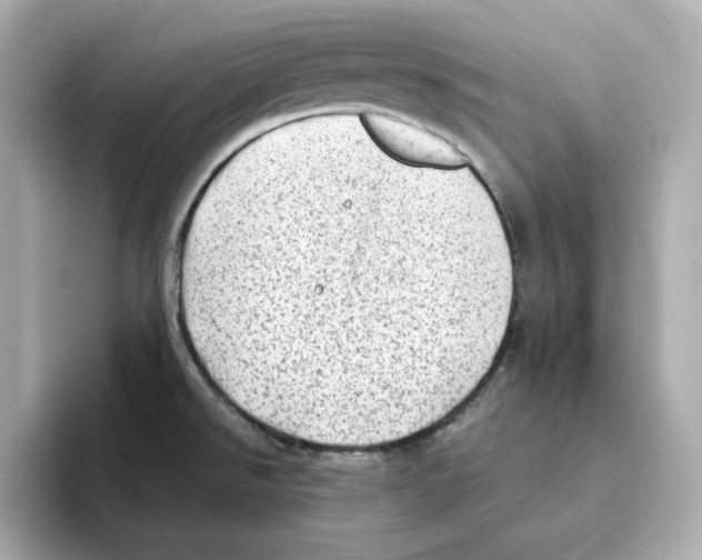 X0000095691526200802051302