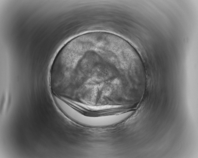 X0000095691527200802051302