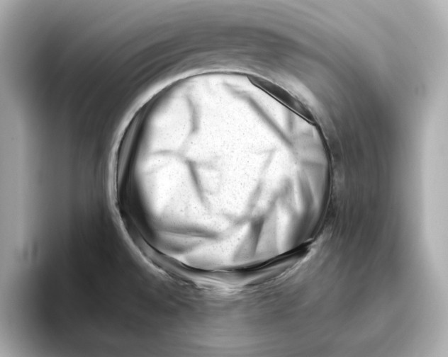 X0000095691528200802051302