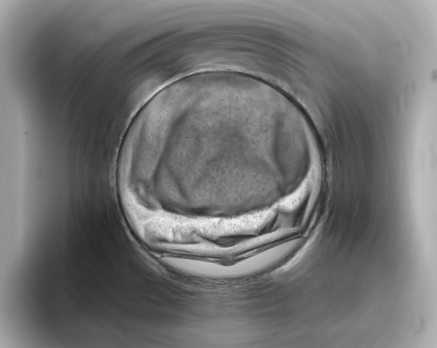 X0000095691529200802051302