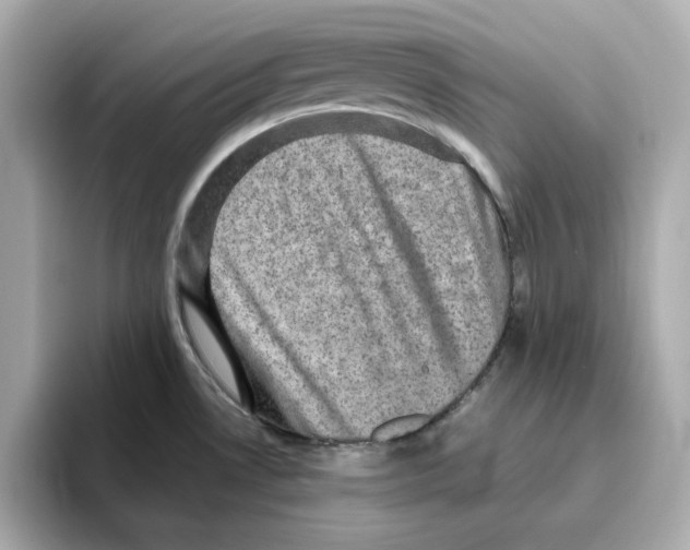 X0000095691530200802051302