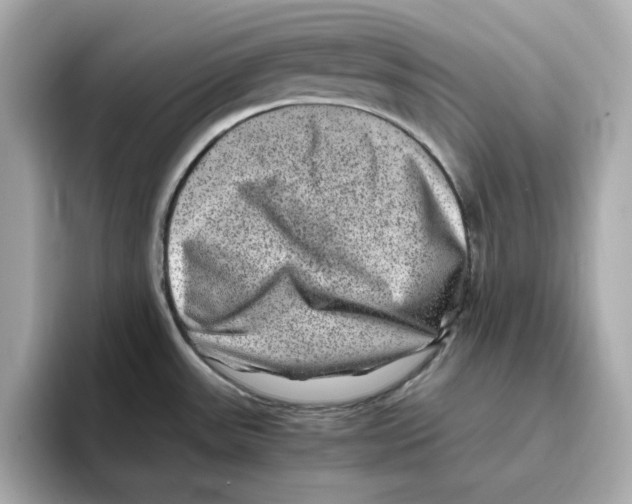 X0000095691531200802051302