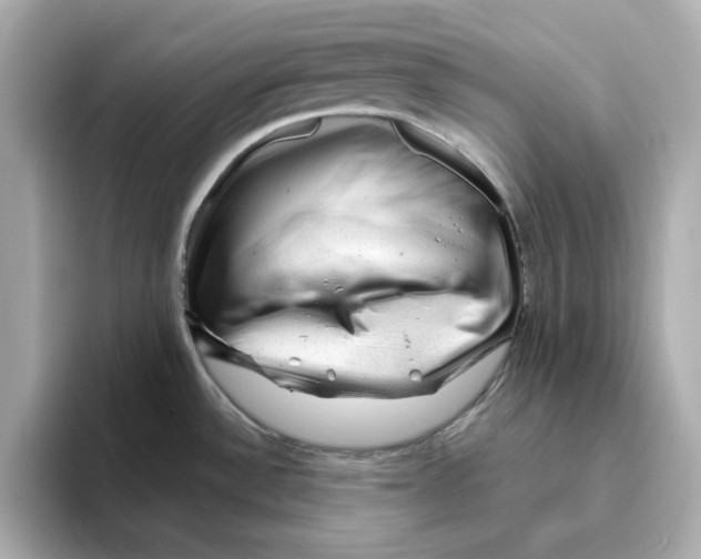 X0000095691532200802051302