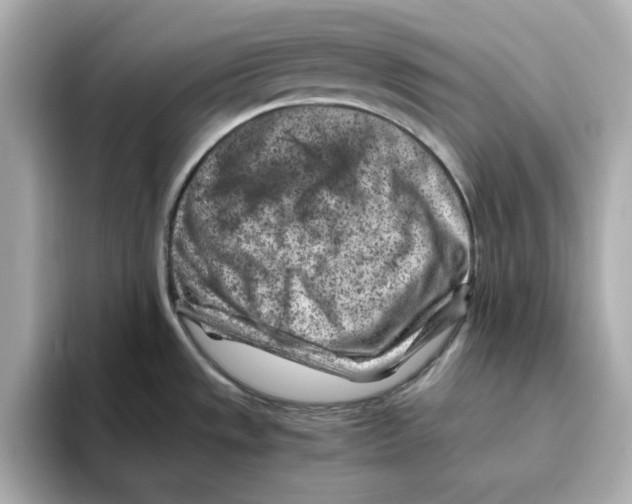 X0000095691533200802051302