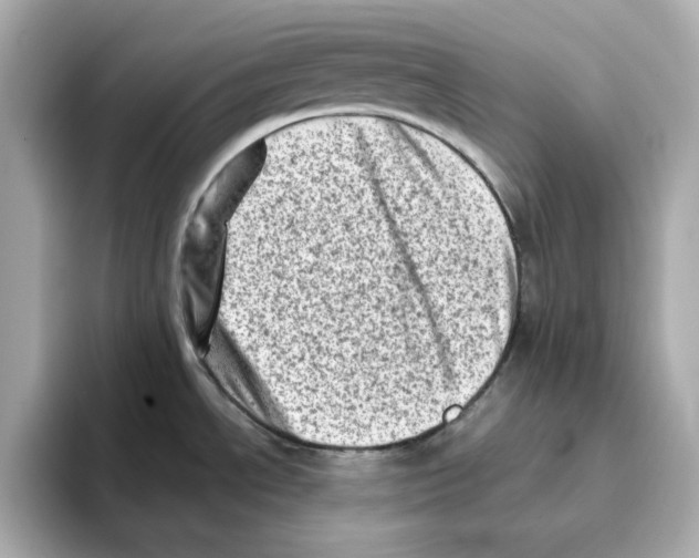 X0000095691534200802051302