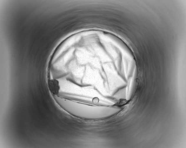 X0000095691535200802051302