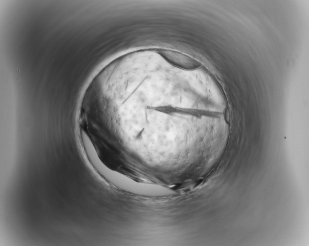 X0000095691536200802051302