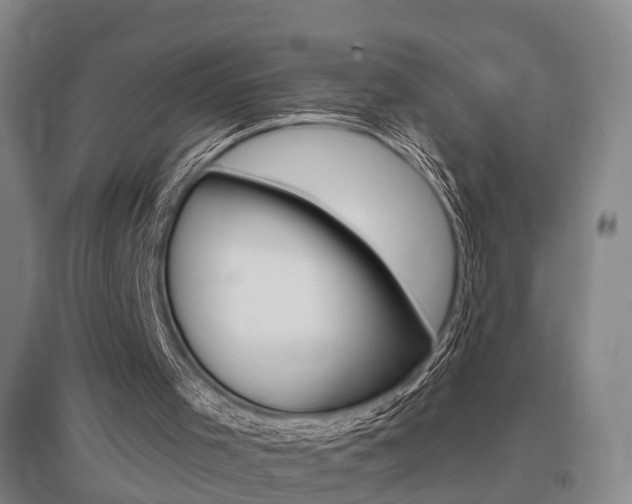 X0000095880001200801110816