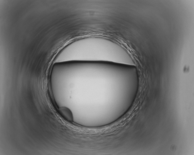 X0000095880002200801110816