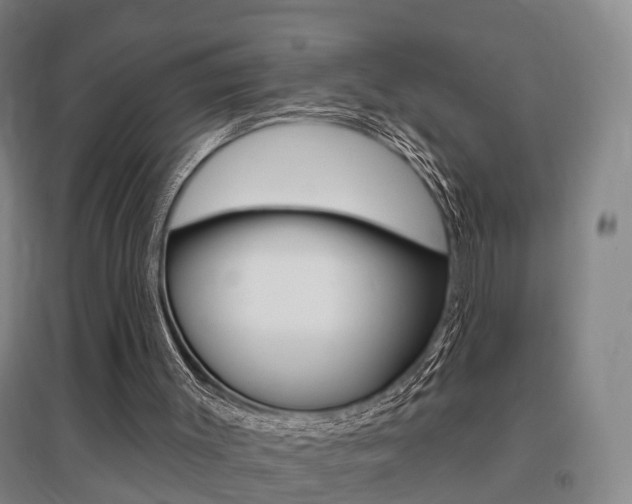 X0000095880003200801110816