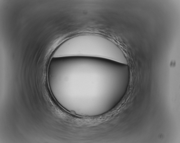 X0000095880005200801110816