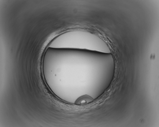 X0000095880006200801110816