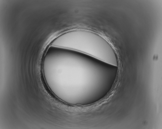 X0000095880007200801110816