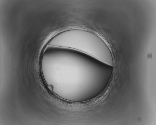 X0000095880008200801110816