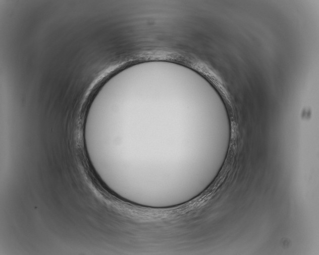 X0000095880012200801110816