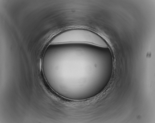 X0000095880013200801110816