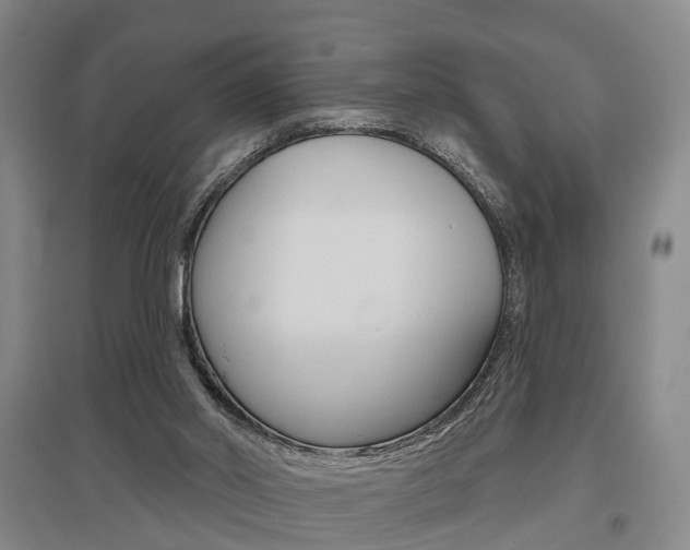 X0000095880014200801110816