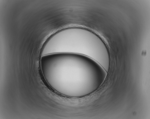 X0000095880015200801110816
