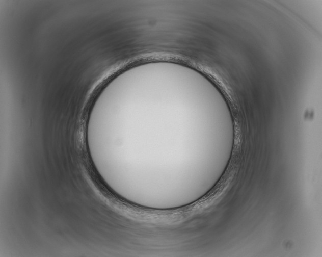 X0000095880016200801110816