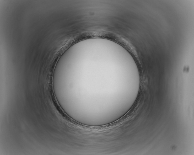 X0000095880018200801110816