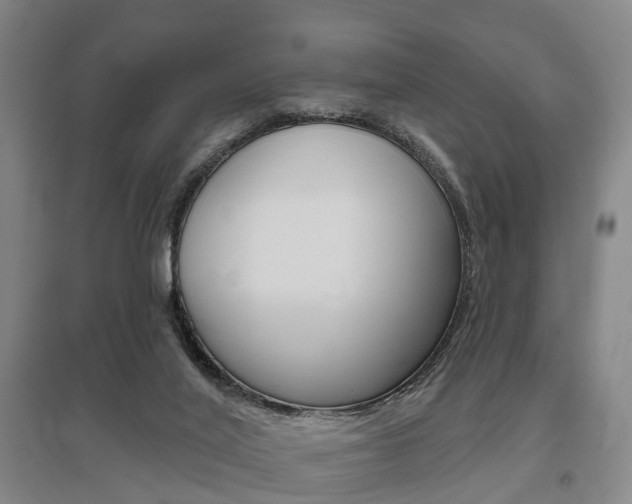 X0000095880020200801110816