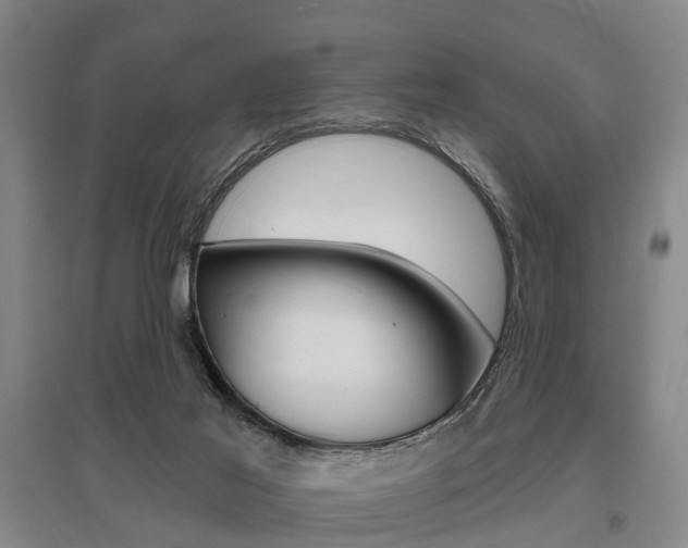 X0000095880021200801110816