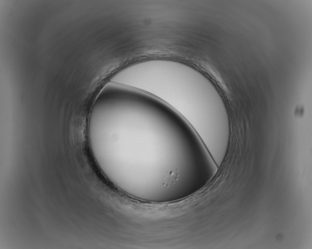 X0000095880023200801110816