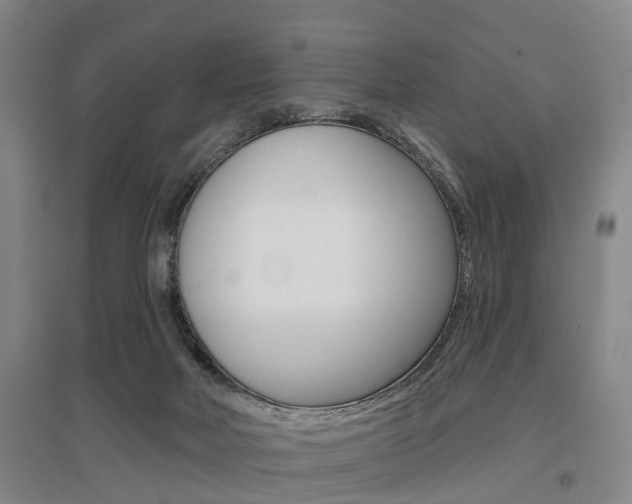X0000095880026200801110816