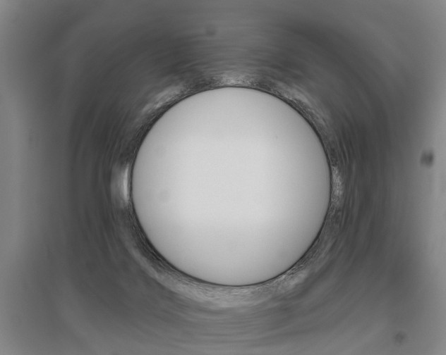 X0000095880028200801110816