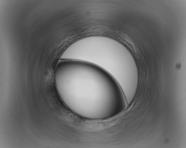 X0000095880029200801110816