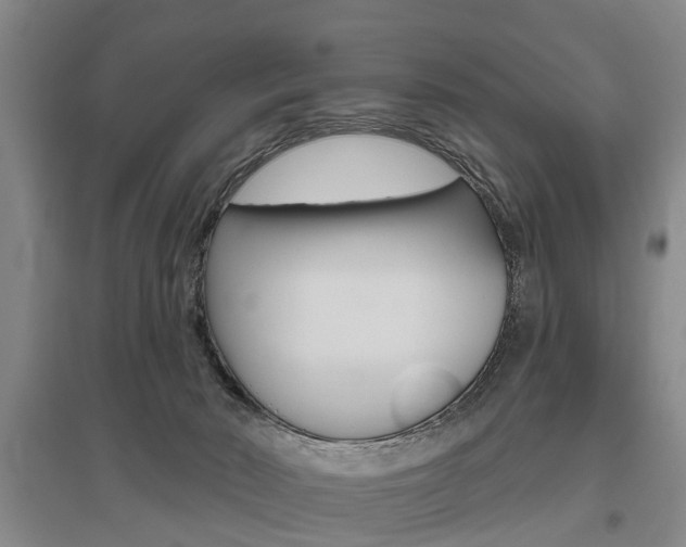 X0000095880030200801110815