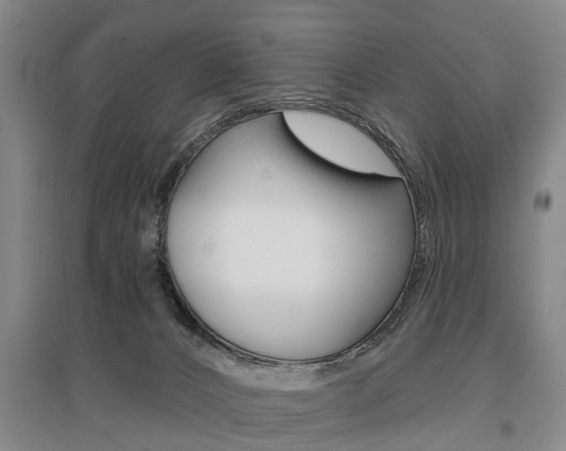 X0000095880032200801110815